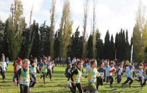 CROSS DE LA CITE 2013
