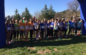 Résultats Cross de St Ferreol